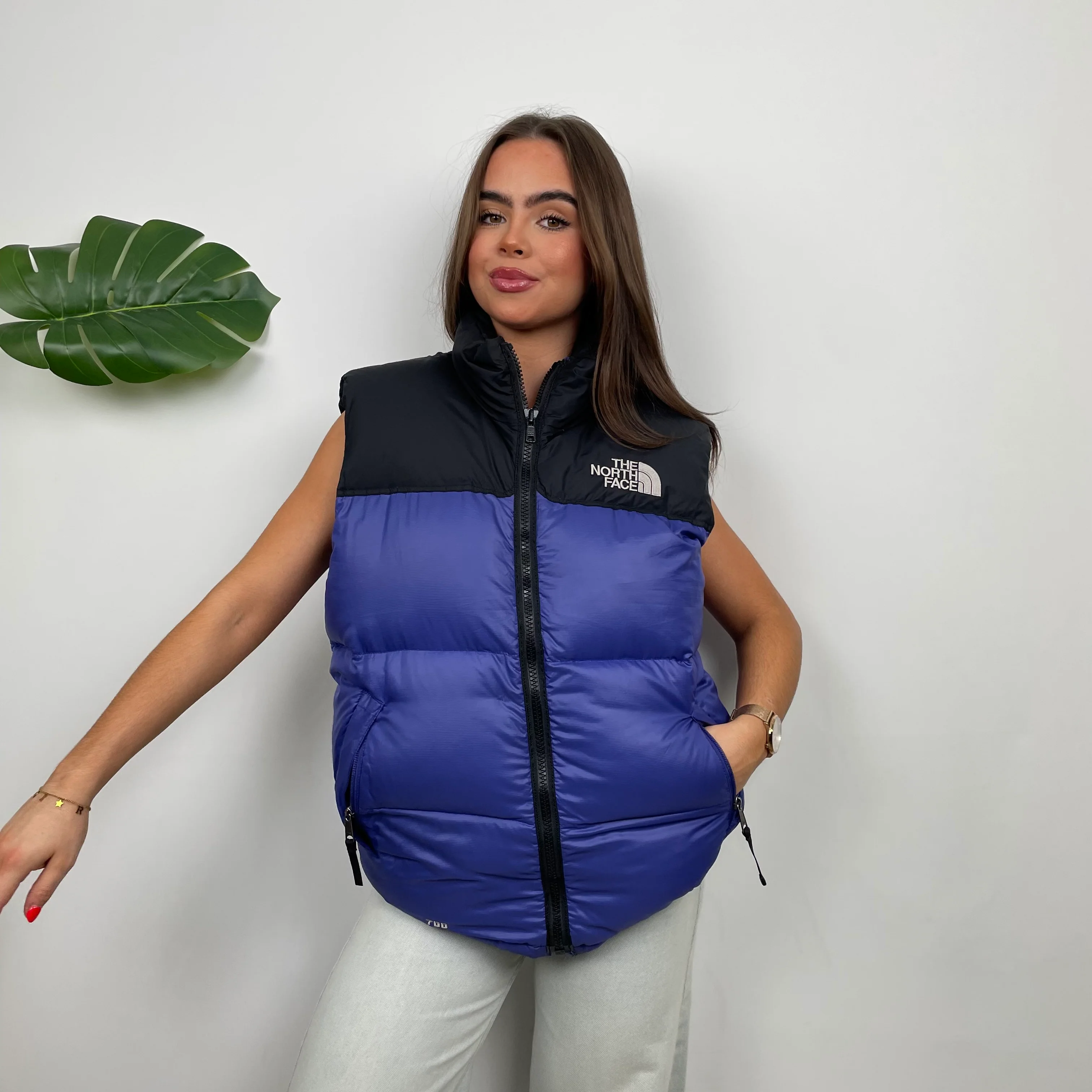 North Face RARE Blue Nuptse 700 Puffer Gilet (M) - Image 2