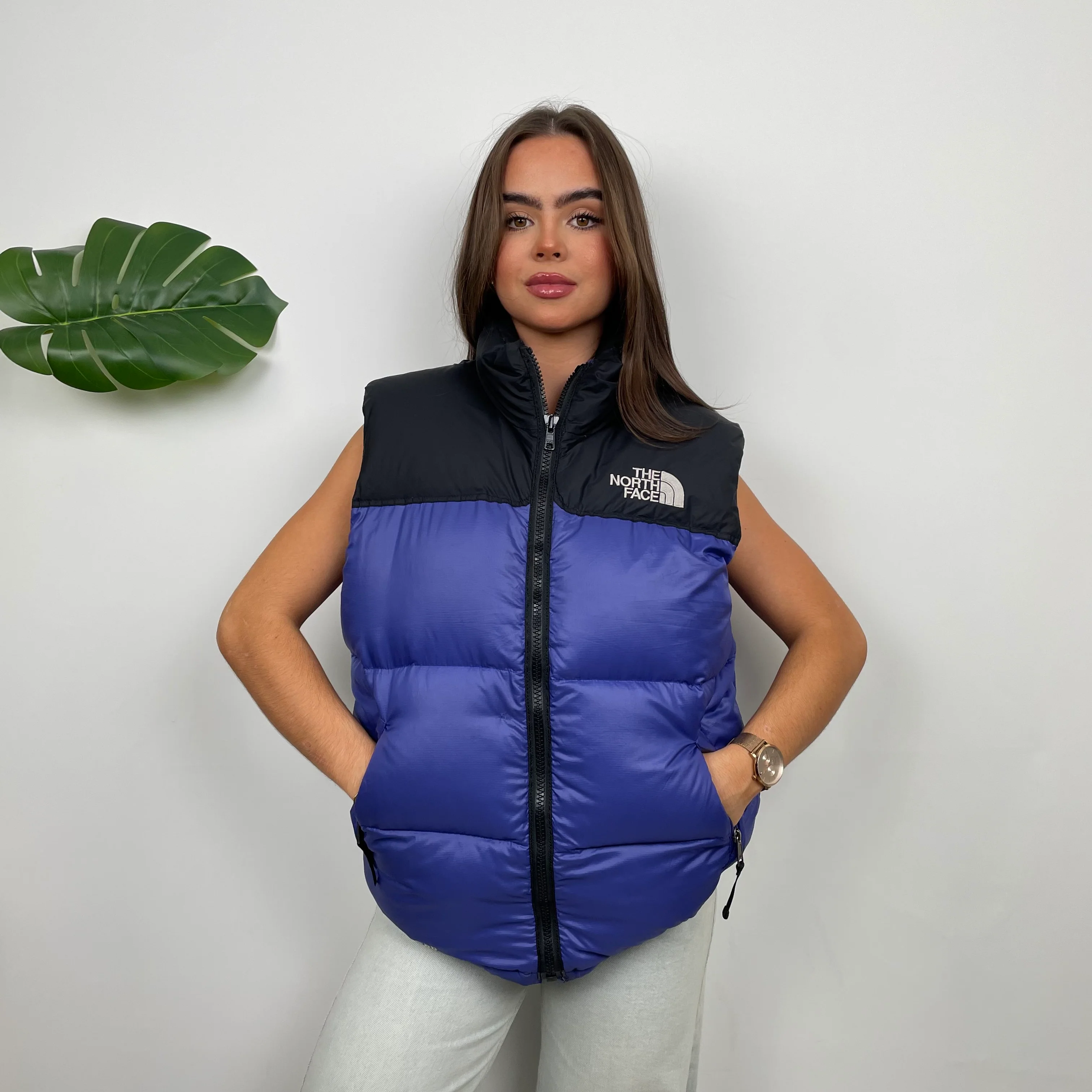 North Face RARE Blue Nuptse 700 Puffer Gilet (M) - Image 3