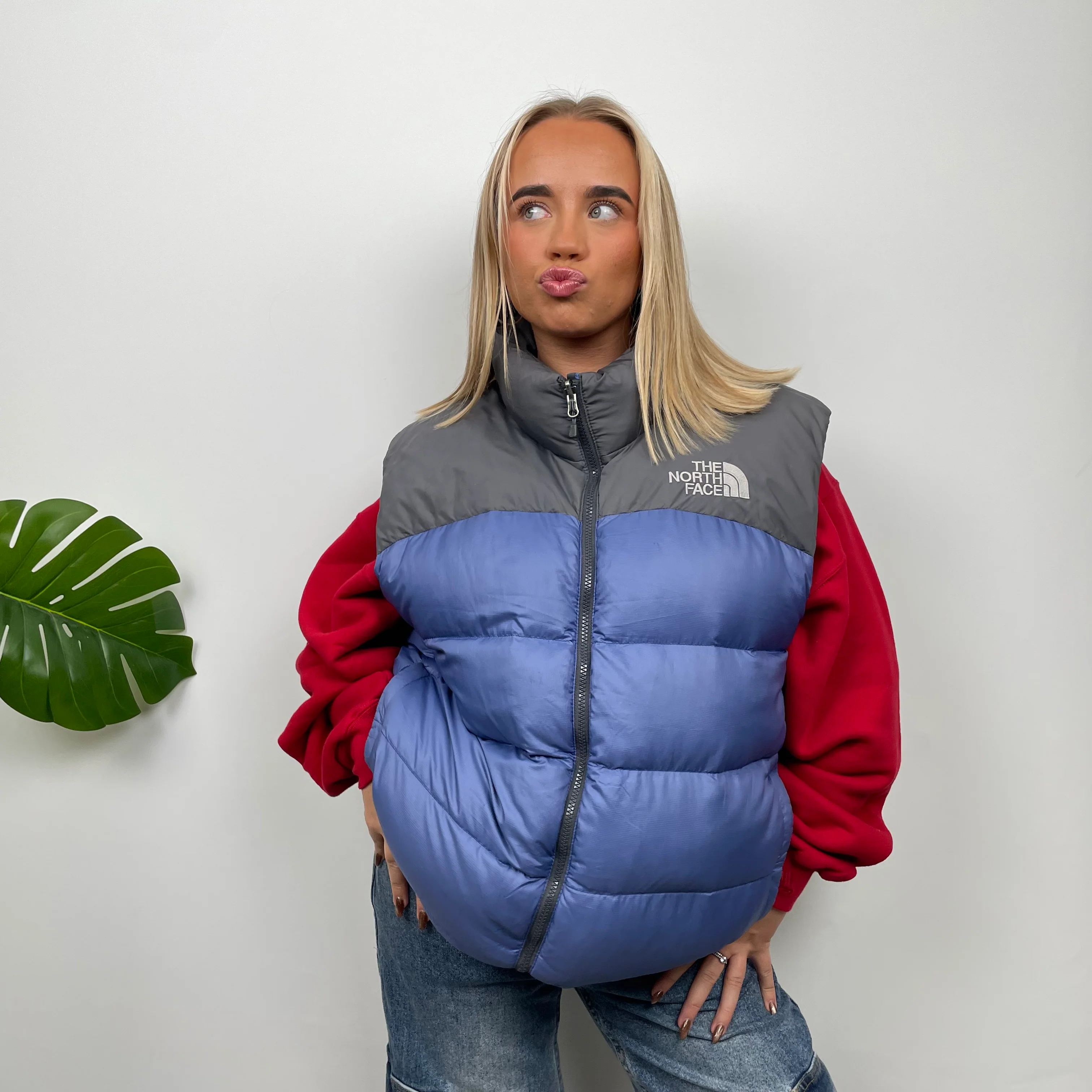 North Face RARE Blue Nuptse 700 Puffer Gilet (XL) - Image 2