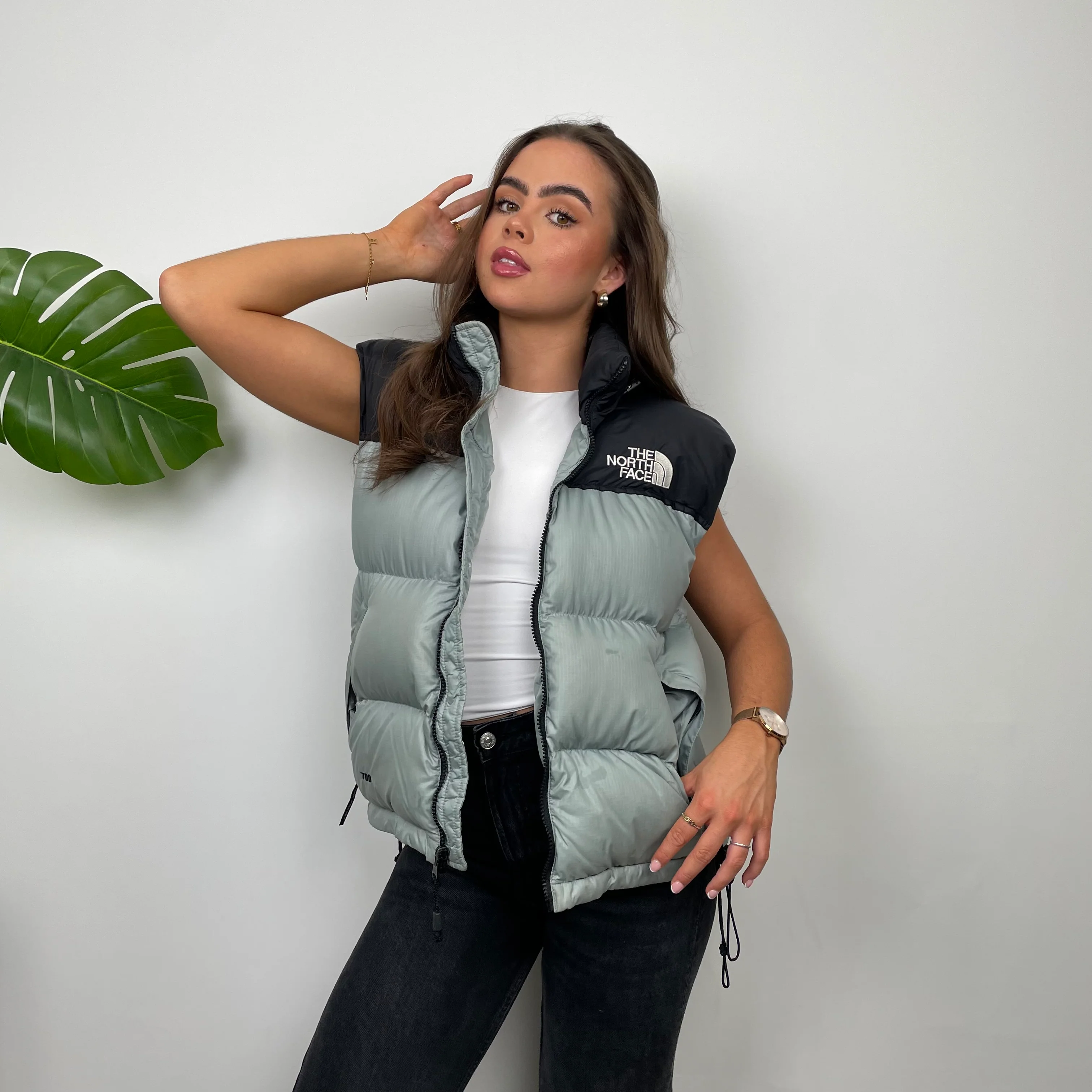 The North Face Grey Nuptse 700 Puffer Gilet (S) - Image 5