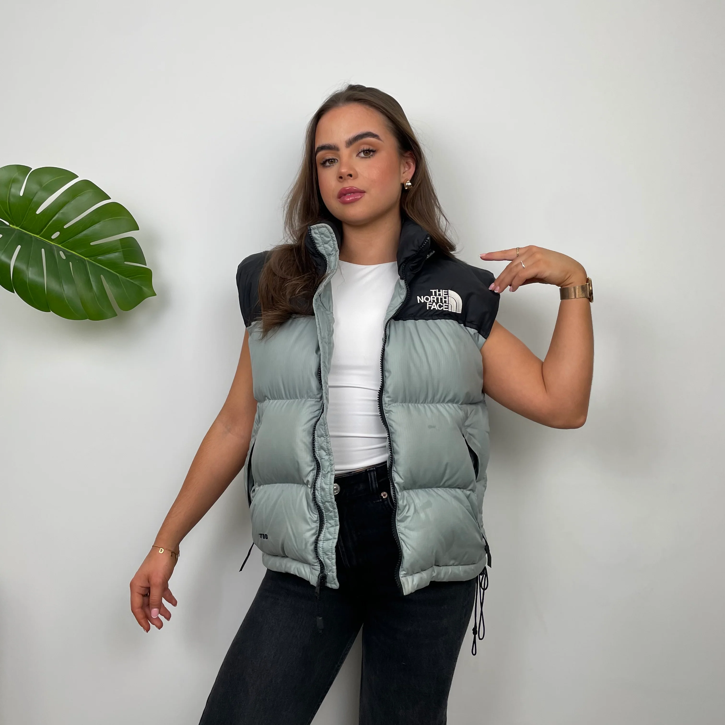 The North Face Grey Nuptse 700 Puffer Gilet (S) - Image 7