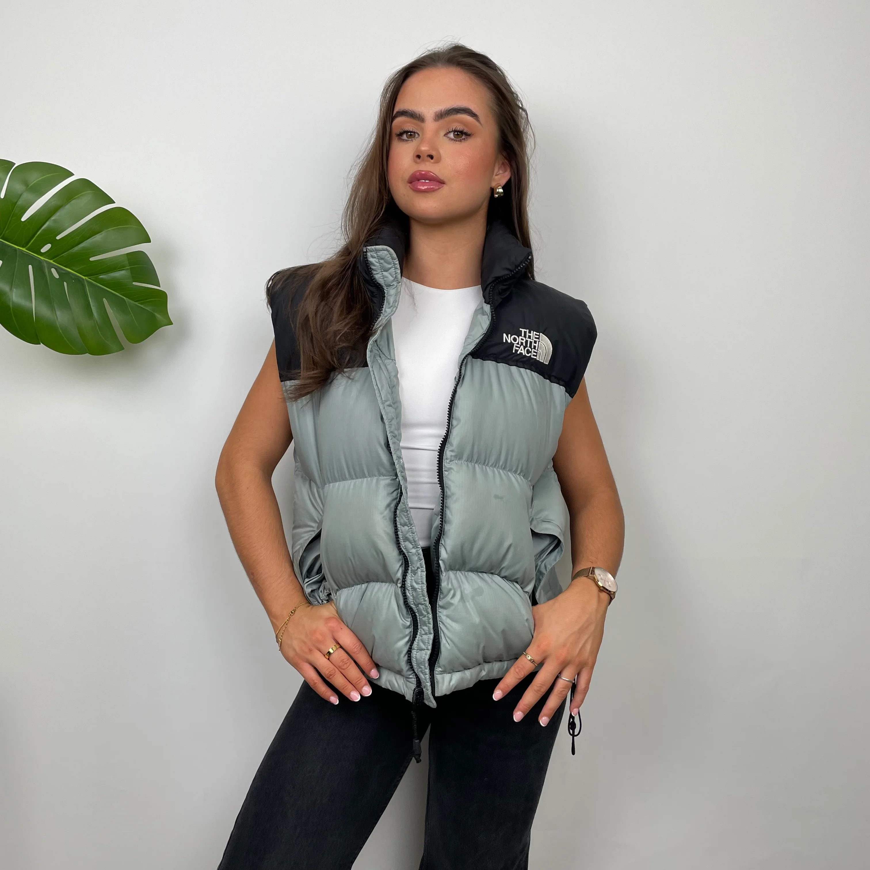 The North Face Grey Nuptse 700 Puffer Gilet (S) - Image 9