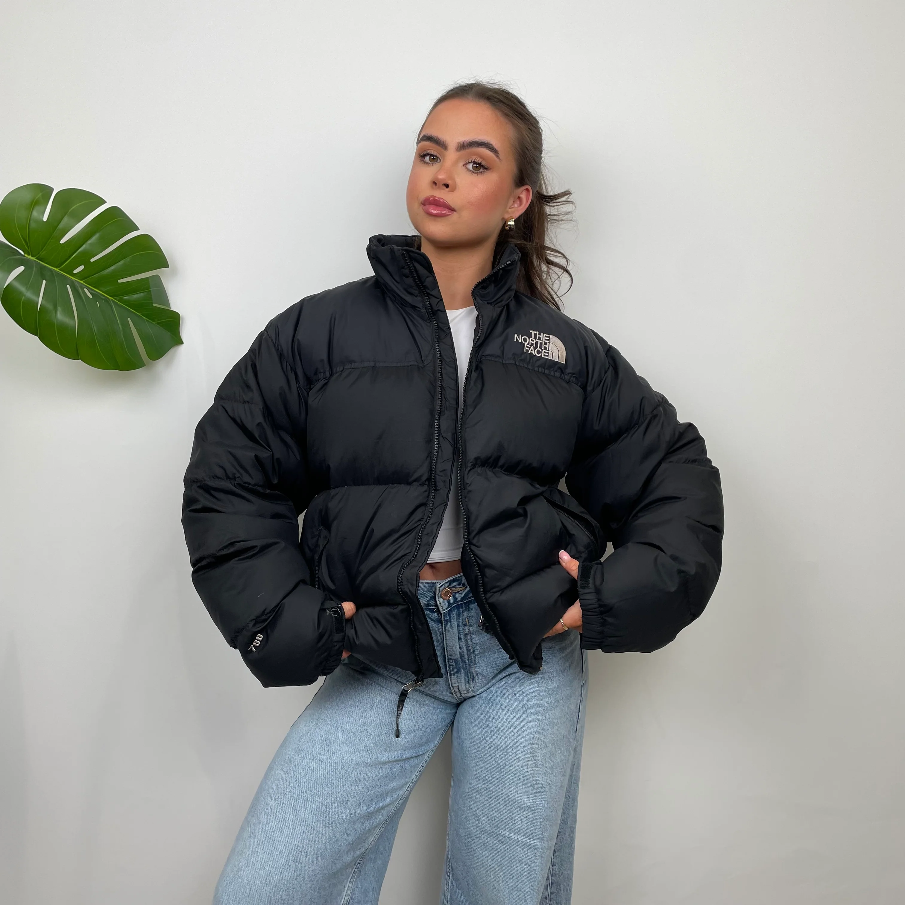 The North Face RARE Nuptse 700 Black Puffer Jacket (L) - Image 6
